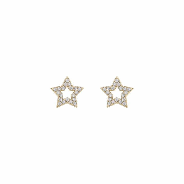 Wish small star ear Gold/clear-Onesize ryhmässä Korvakorut / Kultaiset korvakorut @ SCANDINAVIAN JEWELRY DESIGN (1282-6800-251-ONE)