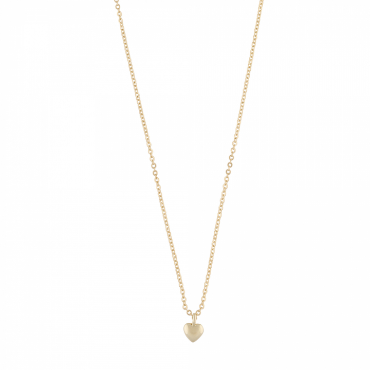 Brooklyn small heart pendant neck 42 Kulta ryhmässä Kaulakorut / Kultaiset kaulakorut @ SCANDINAVIAN JEWELRY DESIGN (1295-0542-257)