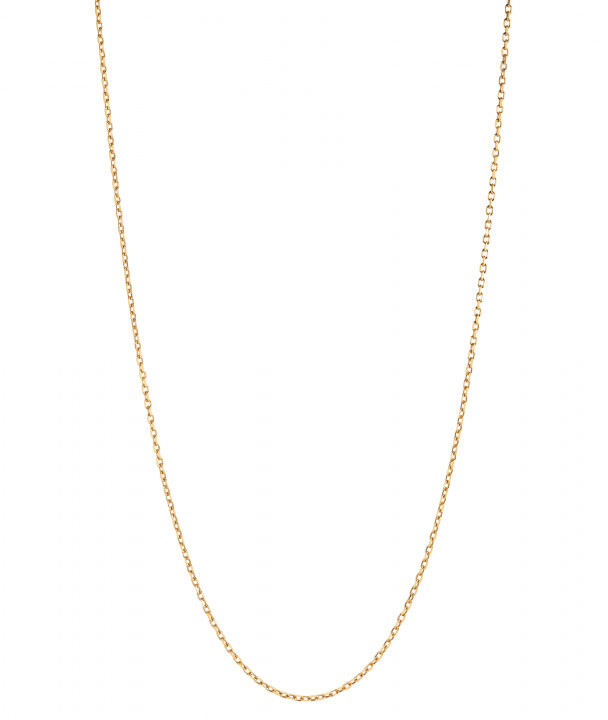 Chain 50 Adjustable Necklace 50 Goldplated Silver (One) ryhmässä Kaulakorut / Kultaiset kaulakorut @ SCANDINAVIAN JEWELRY DESIGN (300370YG-50)