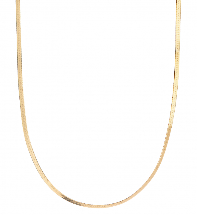 Mio Chain Goldplated Silver (One) ryhmässä Kaulakorut / Kultaiset kaulakorut @ SCANDINAVIAN JEWELRY DESIGN (300380YG)