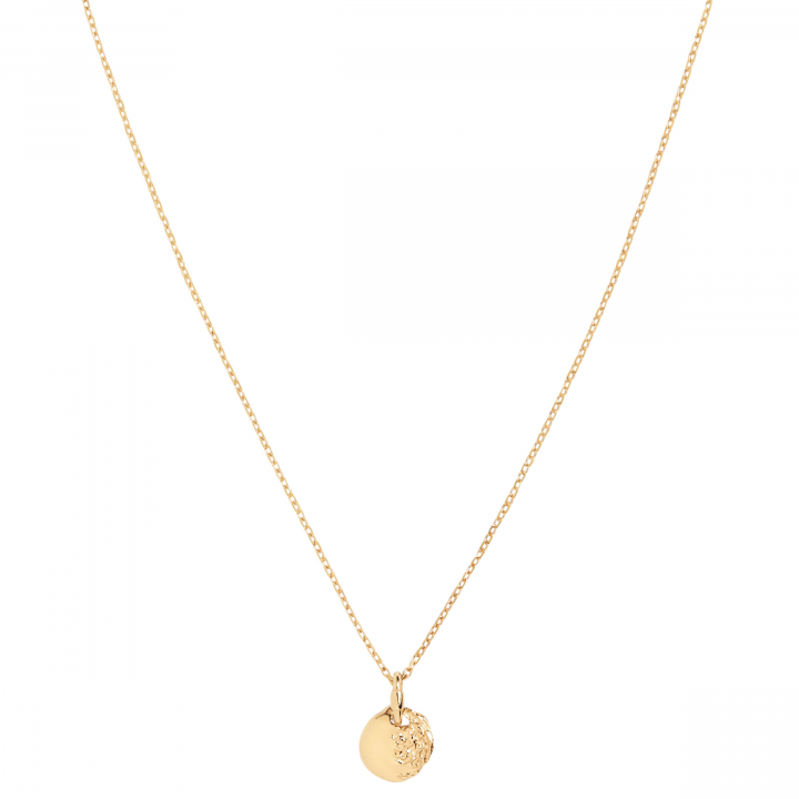 Aspen 50 Necklace Goldplated Silver (One) ryhmässä Kaulakorut / Kultaiset kaulakorut @ SCANDINAVIAN JEWELRY DESIGN (300460YG-50)