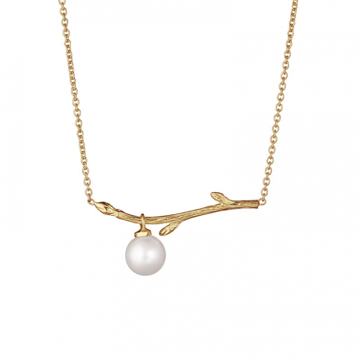 Branch pearl necklace gold ryhmässä Korvakorut / Kultaiset korvakorut @ SCANDINAVIAN JEWELRY DESIGN (BAH-N1M2501-G)