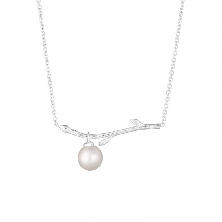 Branch pearl necklace ryhmässä Kaulakorut / Hopeiset kaulakorut @ SCANDINAVIAN JEWELRY DESIGN (BAH-N1M2501-S)