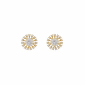 Wiz small ear Gold/clear-Onesize